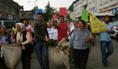 Yaş çay fiyatına tepkiler sürüyor: Ulusal Çay Konseyi’nden istifa ettiler