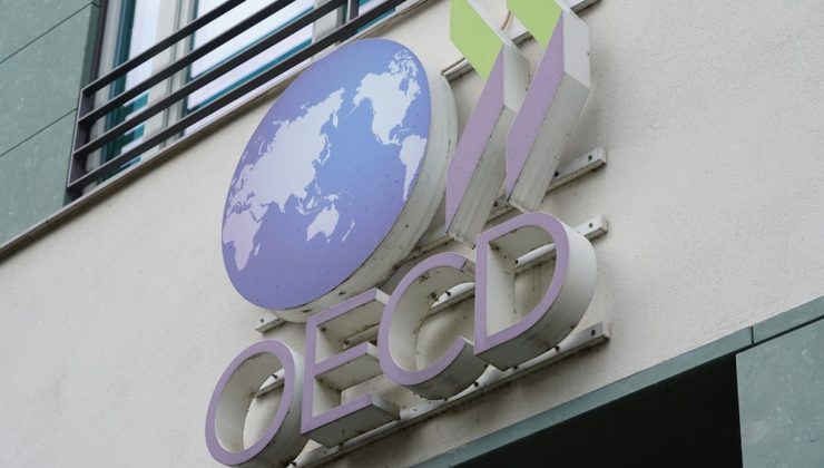 OECD Başekonomisti: Türkiye’nin gri listeden çıkması yabancı yatırımı artırır