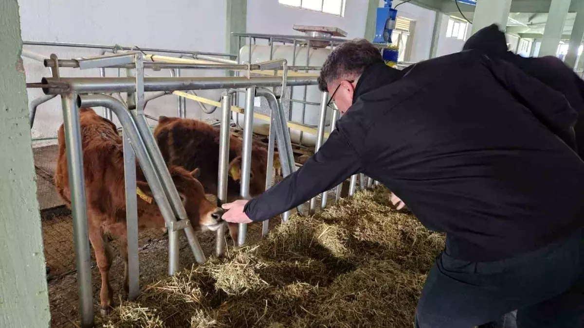 Eskişehir’de ‘Hastalıktan Ari İşletme’ Sertifikası Verildi